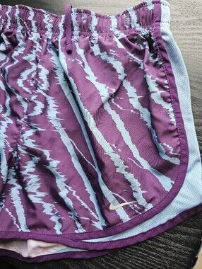 Nike Purple and Light Blue Dri-FIT Athletic Running Shorts Women's Size L